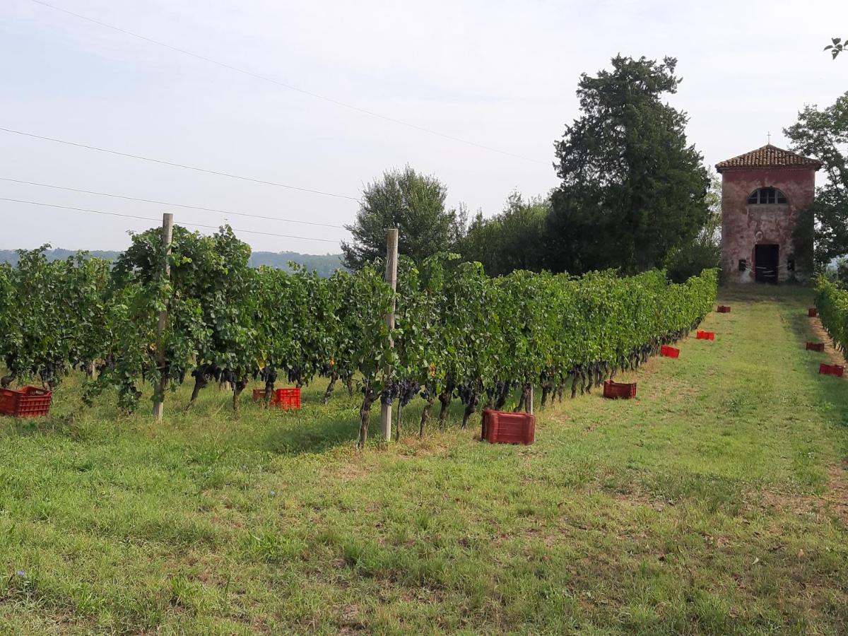 Marchesi Incisa Winery Lodge Rocchetta Tanaro Zewnętrze zdjęcie