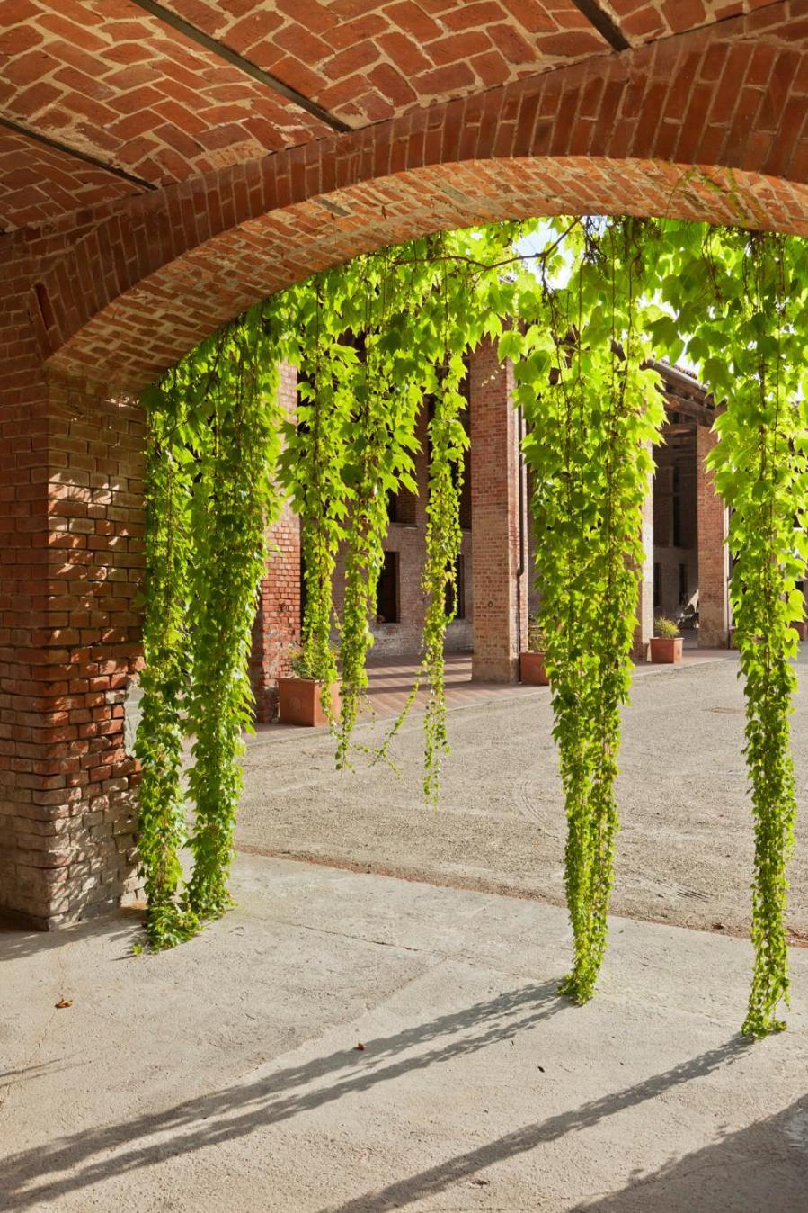 Marchesi Incisa Winery Lodge Rocchetta Tanaro Zewnętrze zdjęcie