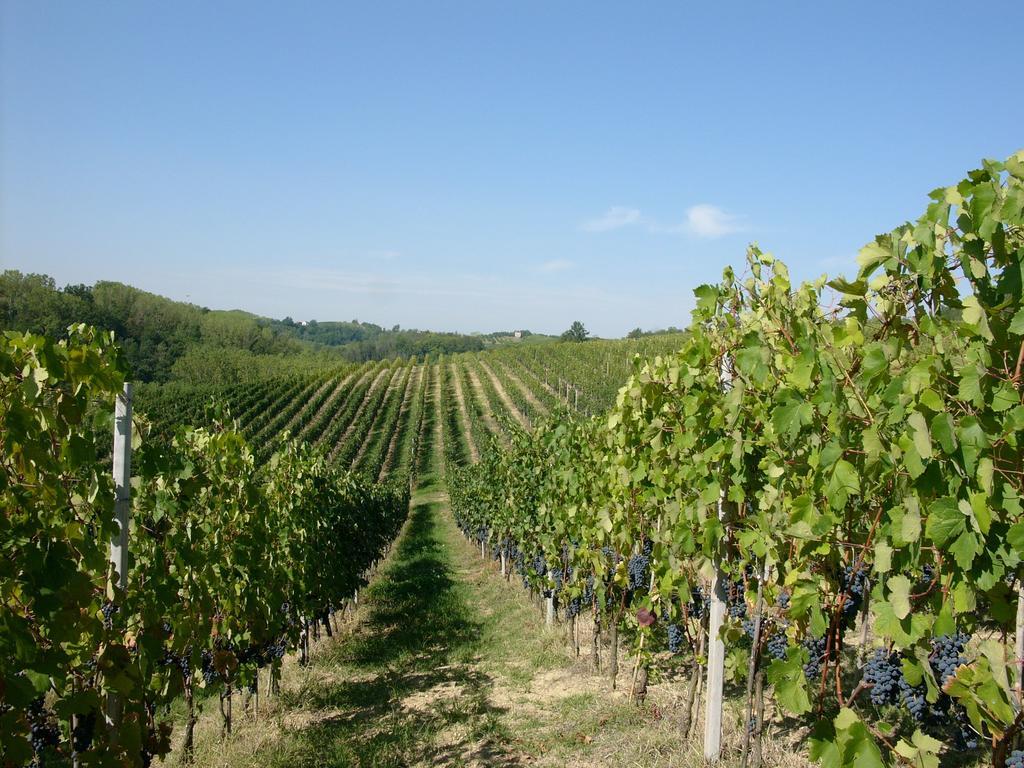 Marchesi Incisa Winery Lodge Rocchetta Tanaro Zewnętrze zdjęcie